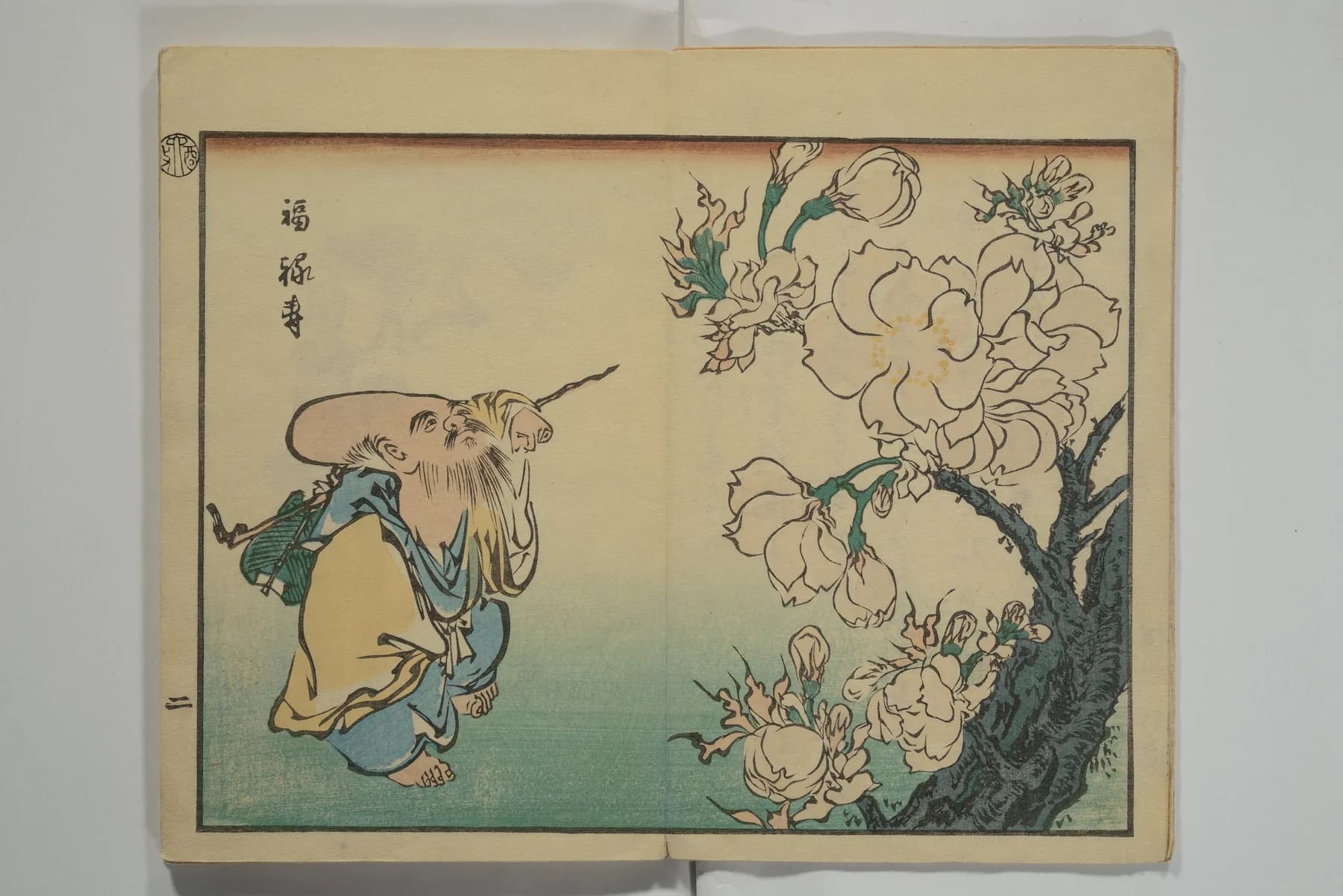 Designing Across Languages: Lessons from Hanami
